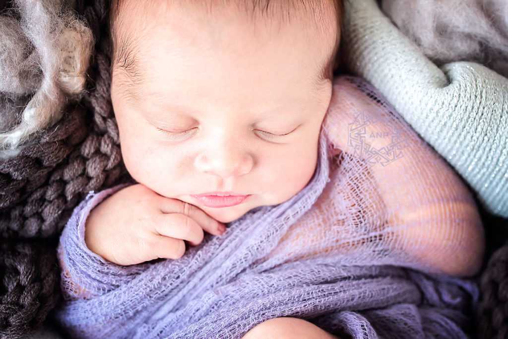 newborn baby girl adelaide newborn baby as taken by Adelaide Newborn Photography