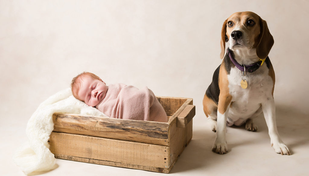 Adelaide Newborn Photographer image of newborn baby girl, as captured by Lisa from Adelaide Newborn Photography