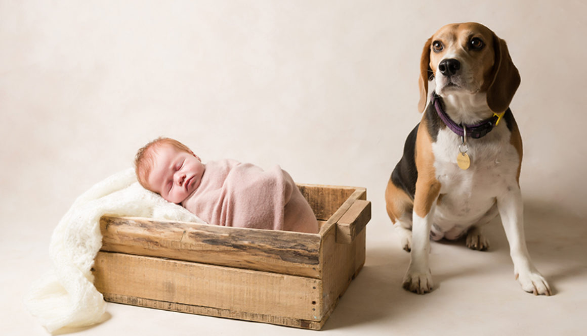 Adelaide Newborn Photographer image of newborn baby girl, as captured by Lisa from Adelaide Newborn Photography