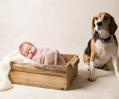 Adelaide Newborn Photographer image of newborn baby girl, as captured by Lisa from Adelaide Newborn Photography