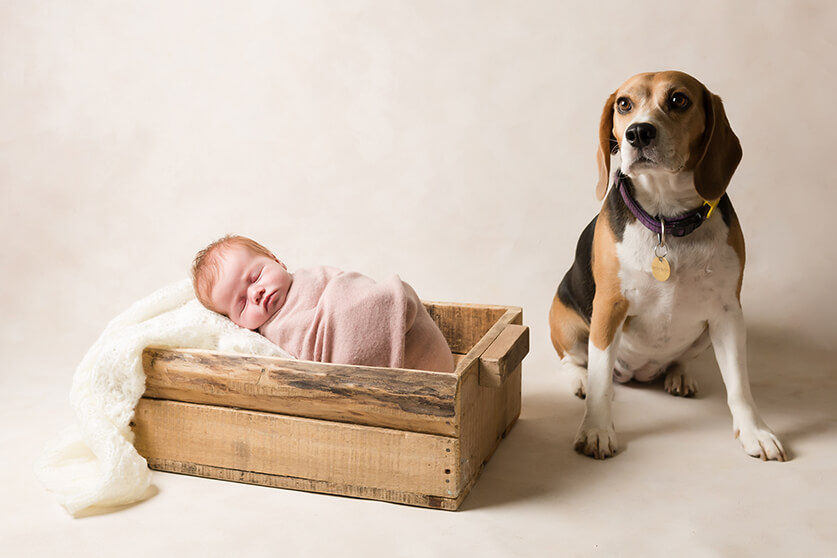 Adelaide Newborn Photographer image of newborn baby girl, as captured by Lisa from Adelaide Newborn Photography